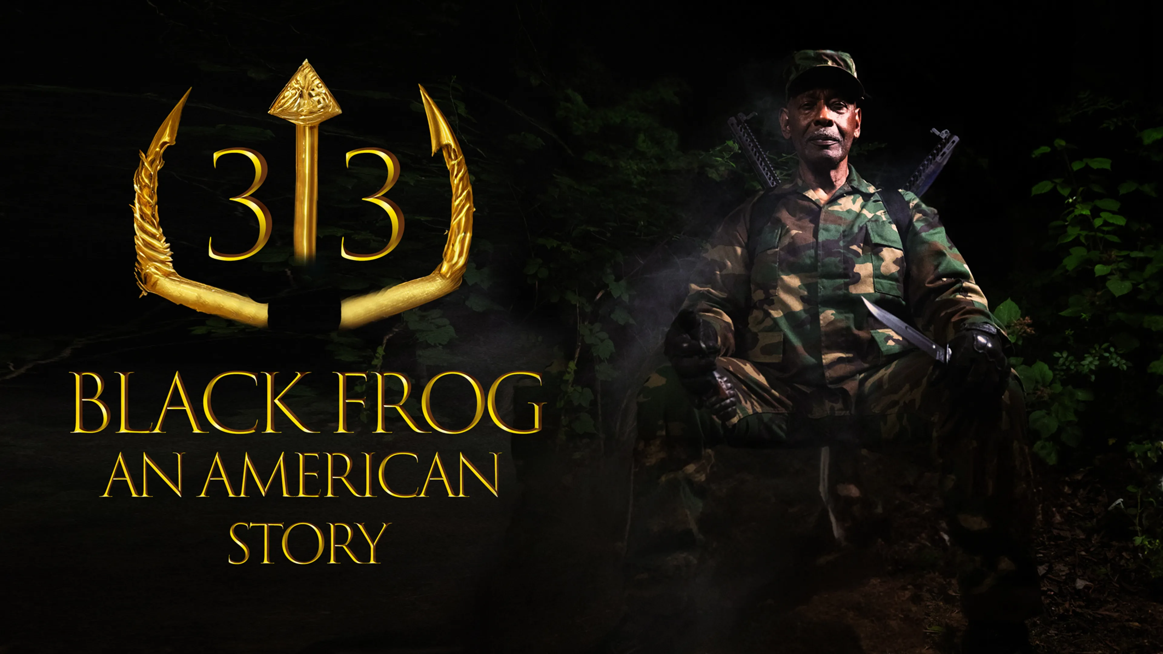 33 Black Frog: An American Story poster
